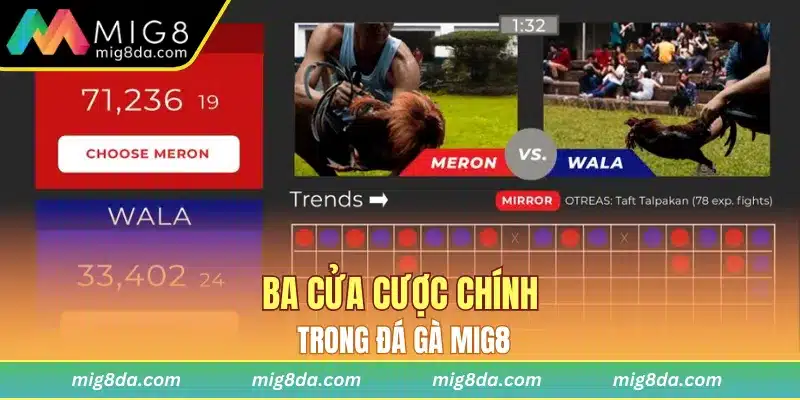 Ba cửa cược chính trong đá gà Mig8